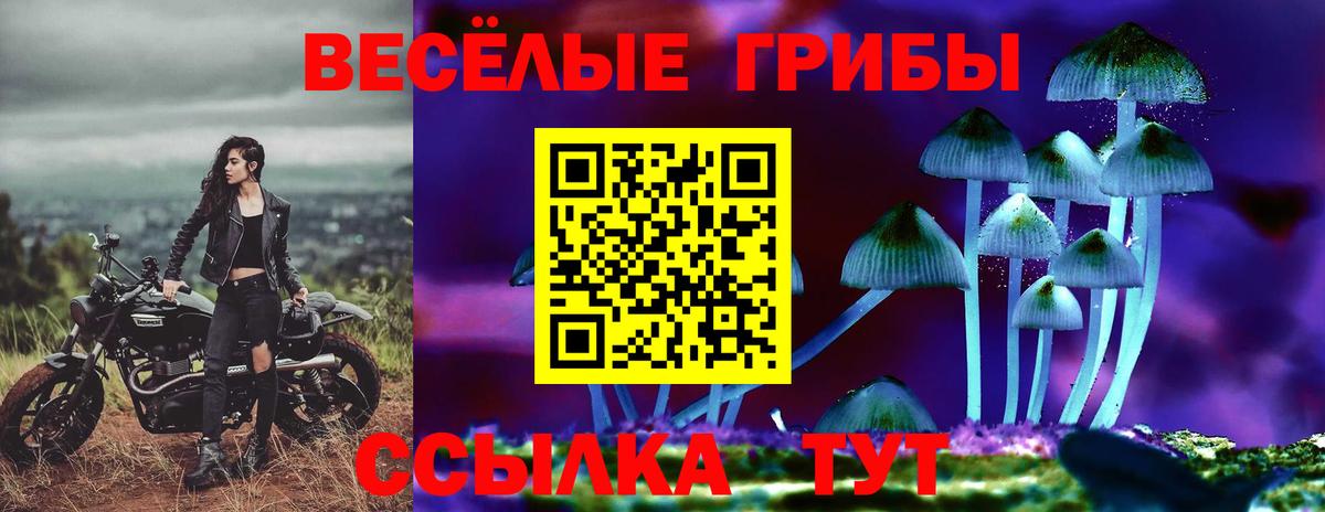 Надым  Галлюциногенные грибы MAGIC MUSHROOMS  Вход с VPN 